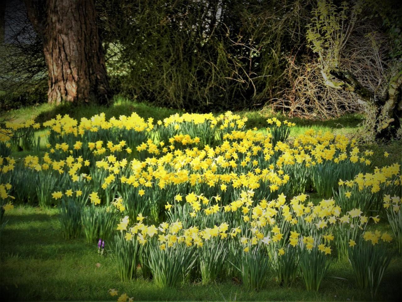 Ffynnon Fendigaid Bed And Breakfast Aberporth Luaran gambar