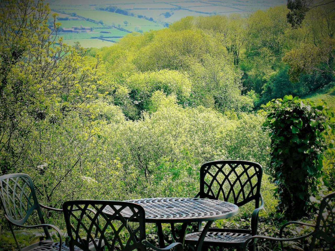 Ffynnon Fendigaid Bed And Breakfast Aberporth Luaran gambar