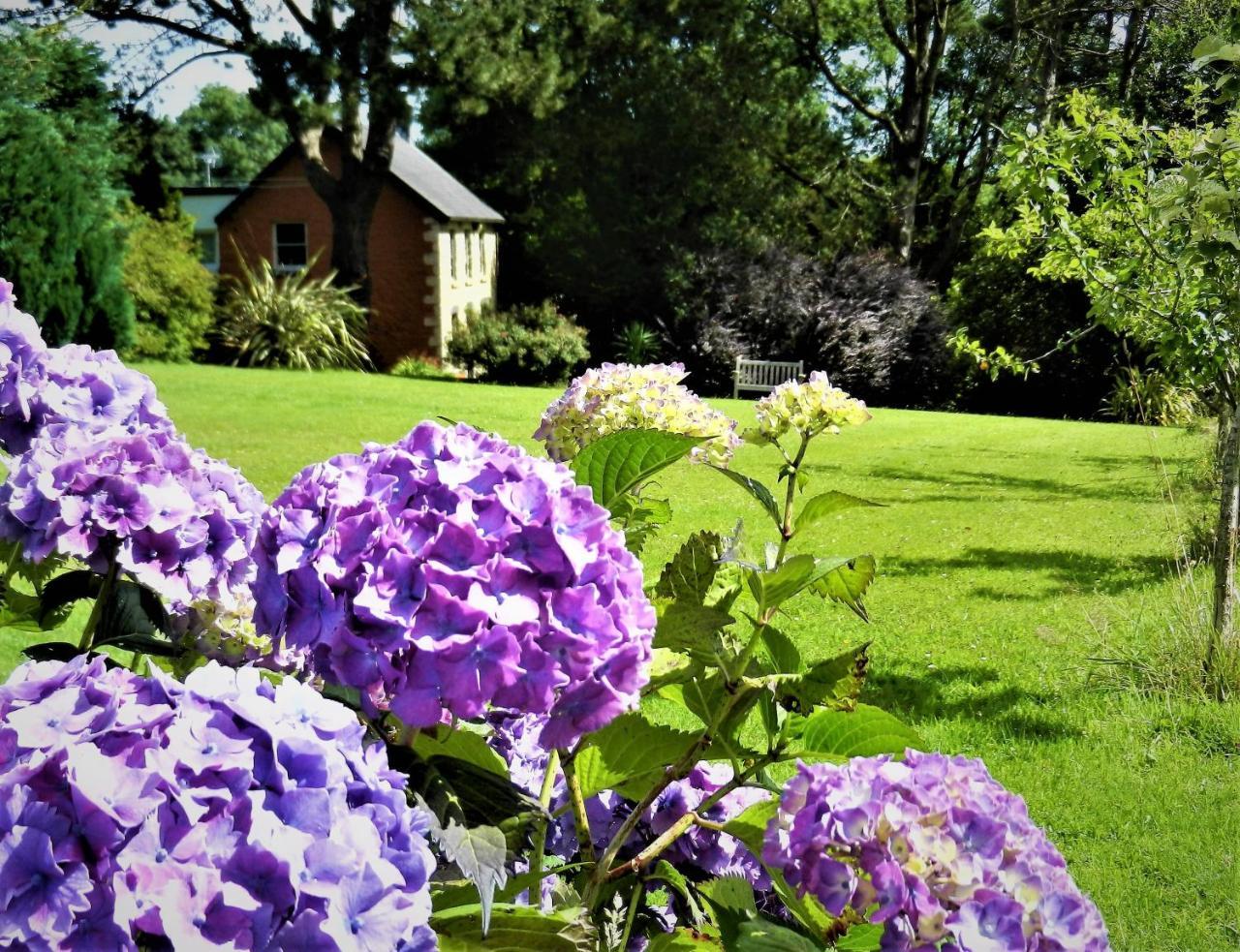 Ffynnon Fendigaid Bed And Breakfast Aberporth Luaran gambar